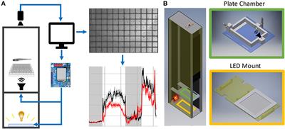 A Customizable Low-Cost System for Massively Parallel Zebrafish Behavioral Phenotyping